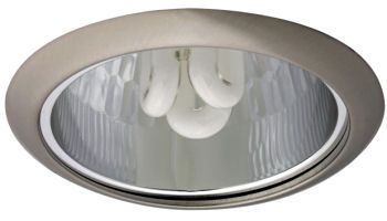 Svietidlo DOWNLIGHT OZON E14