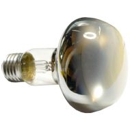 Žiarovka reflektorová E27 R80 60W