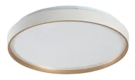 Stropné LED svietidlo ZERAVA Rabalux 71452 