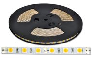 LED pásik 6565 IP20 25m (denná biela)