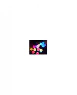 Solárna  Grilanda KUL-COLOR 20LED 4,9m