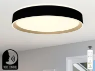 Stropné LED svietidlo 48W + DO + ovládanie hlasom- LC902MBV